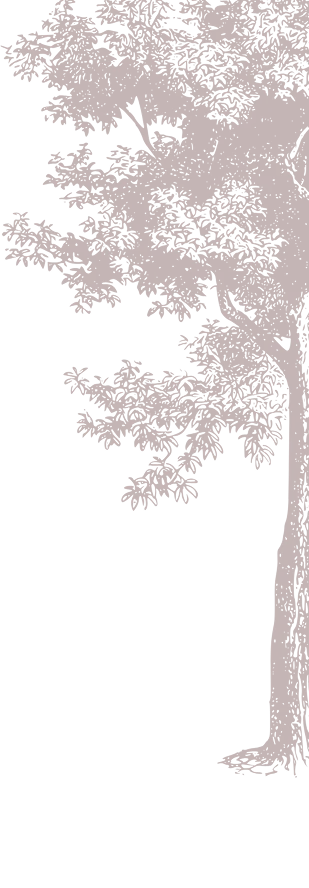 Right Tree