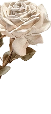 Floral Decoration