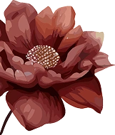 Floral Decoration
