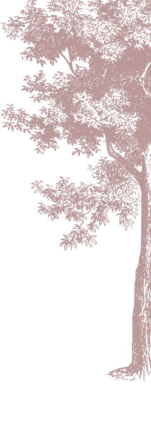Right Tree