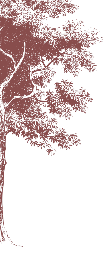 Left Tree