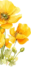 Floral Decoration