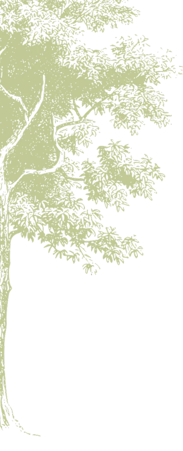 Left Tree
